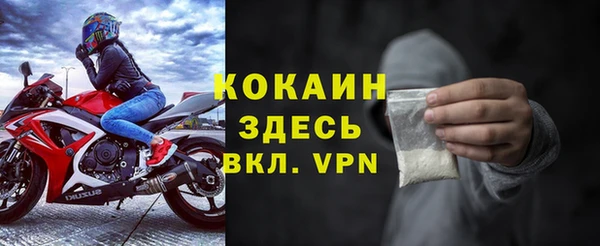 бошки Бронницы