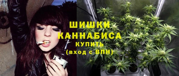 бошки Бронницы