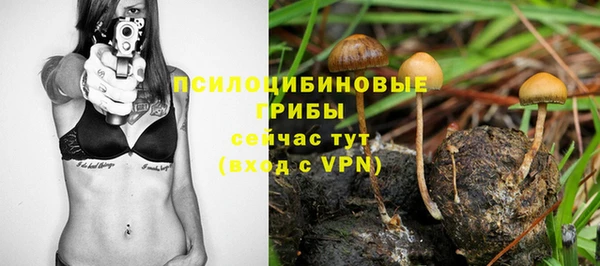герыч Бородино