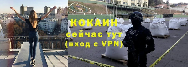 бошки Бронницы