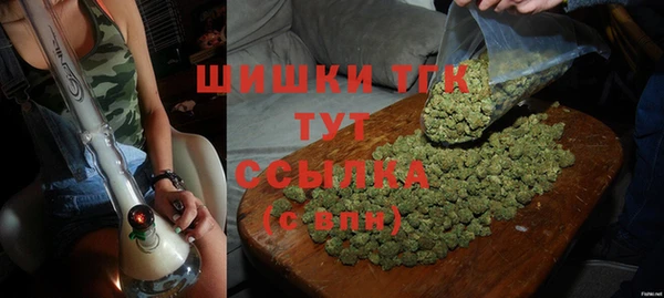 ПСИЛОЦИБИНОВЫЕ ГРИБЫ Снежногорск
