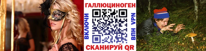 Псилоцибиновые грибы Cubensis  купить наркоту  Менделеевск 